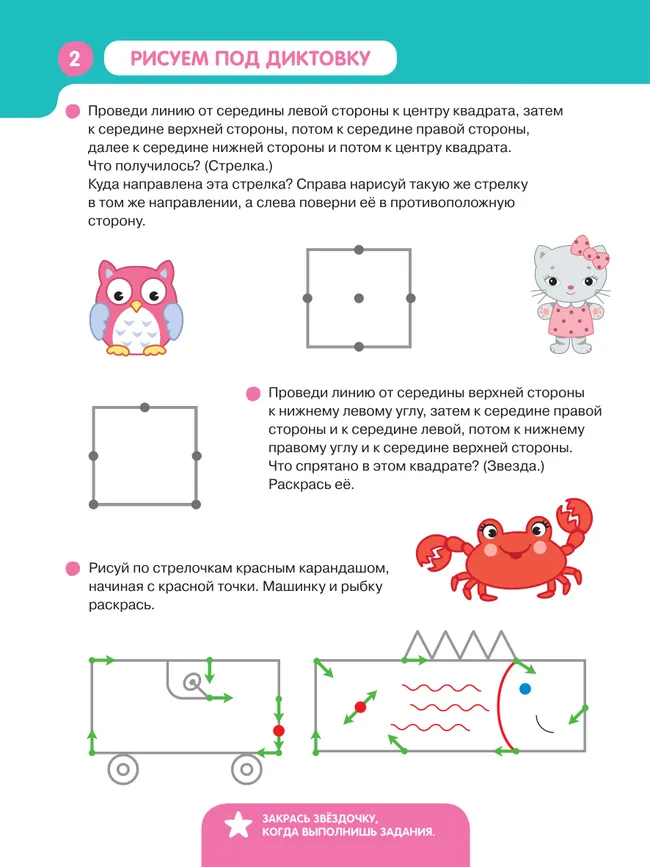 Знакомимся с клеткой 47