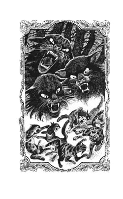 Цикл "Знамение звезд". Долгое эхо. 9