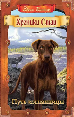 Хроники Стаи. Путь изгнанницы 1