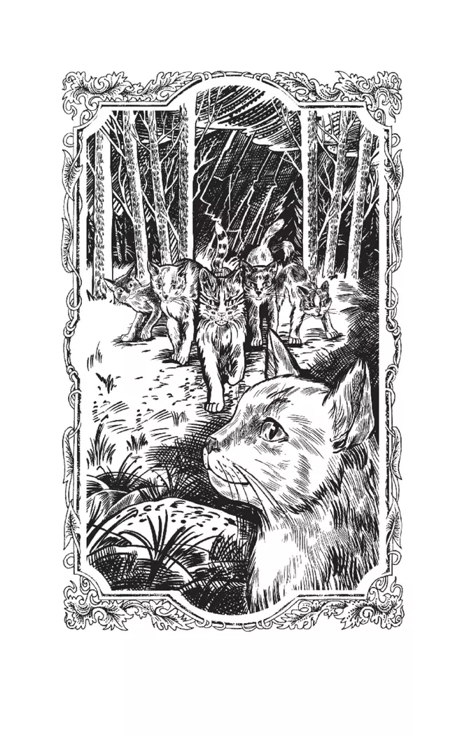 Коты-воители. Огненная река (цикл "Видение теней") 21