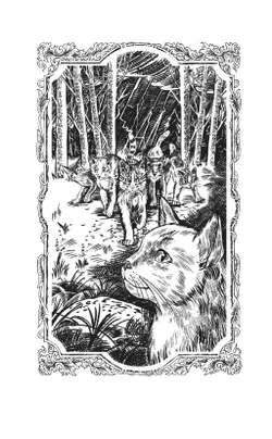 Коты-воители. Огненная река (цикл "Видение теней") 21