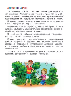 Литературное чтение. Читаем летом. 2 класс 19