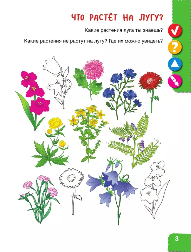 Удивительное рядом. Ребёнок и окружающий мир. Альбом наблюдений. 5-6 лет 9
