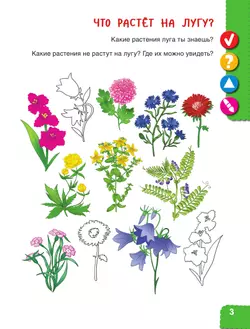 Удивительное рядом. Ребёнок и окружающий мир. Альбом наблюдений. 5-6 лет 9