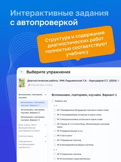 Русский язык. 5 класс. УМК Ладыженская Т. А.—Бархударов С. Г. Цифровые диагностические работы 11
