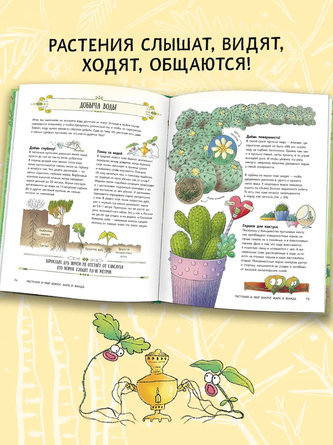 Поведение растений 23 Поведение растений 23