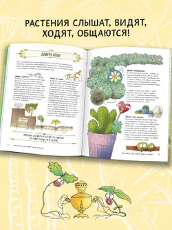 Поведение растений 23