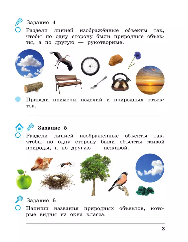 Окружающий мир. 2 класс. Рабочая тетрадь. В 2 частях. Часть 1 10