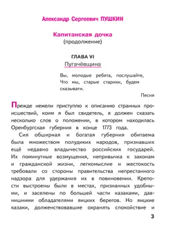 Литература. 8 класс. Учебное пособие. В 7 ч. Часть 2 (для слабовидящих обучающихся) 20