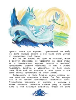 Хрустальные слёзы Лунокошки и Птица-Тень 41