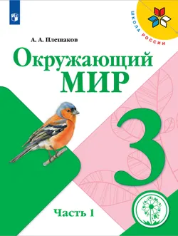 Окружающий мир. 3 класс. Учебное пособие. В 4 ч. Часть 1 (для слабовидящих обучающихся) 1