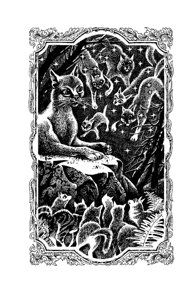 Специальное издание. Пророчество Синей Звезды. Том 2. Выбор. 55 Специальное издание. Пророчество Синей Звезды. Том 2. Выбор. 55