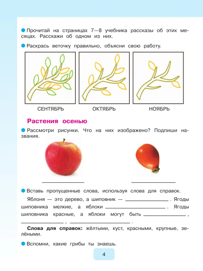 Мир природы и человека. 3 класс. Рабочая тетрадь (для обучающихся с интеллектуальными нарушениями) 39