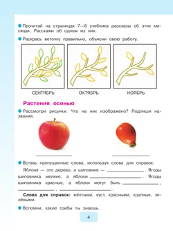 Мир природы и человека. 3 класс. Рабочая тетрадь (для обучающихся с интеллектуальными нарушениями) 39
