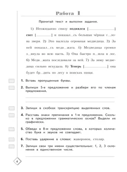 Русский язык. 4 класс. Готовимся к Всероссийским проверочным работам. 50 шагов к успеху 40