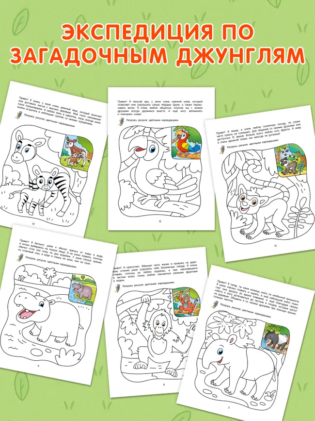 Джунгли. Познавательная раскраска. 4+ 24