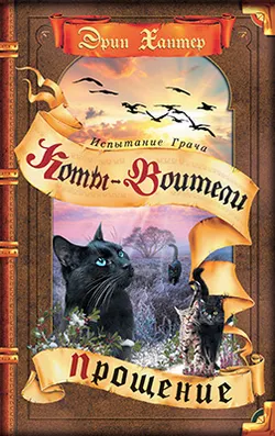 Коты воители. Испытание Грача. Прощение 1
