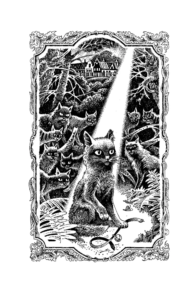 Коты-воители. Цикл "Воители". Стань диким! Хантер. 11