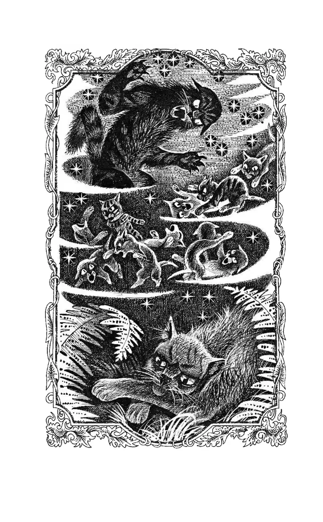 Коты-воители. Цикл "Тайна Щербатой". Наказание. Хантер. 14