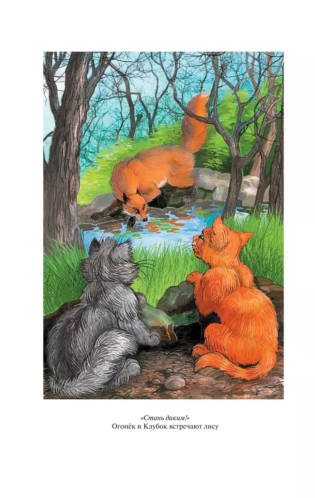 Коты-воители. Золотая коллекция. Стань диким! Огонь и лед. (новое оформление). Хантер. 48