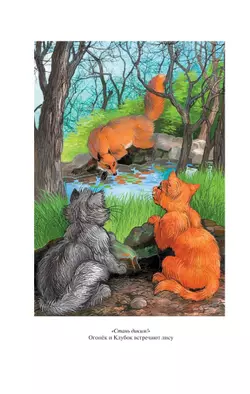 Коты-воители. Золотая коллекция. Стань диким! Огонь и лед. (новое оформление). Хантер. 48