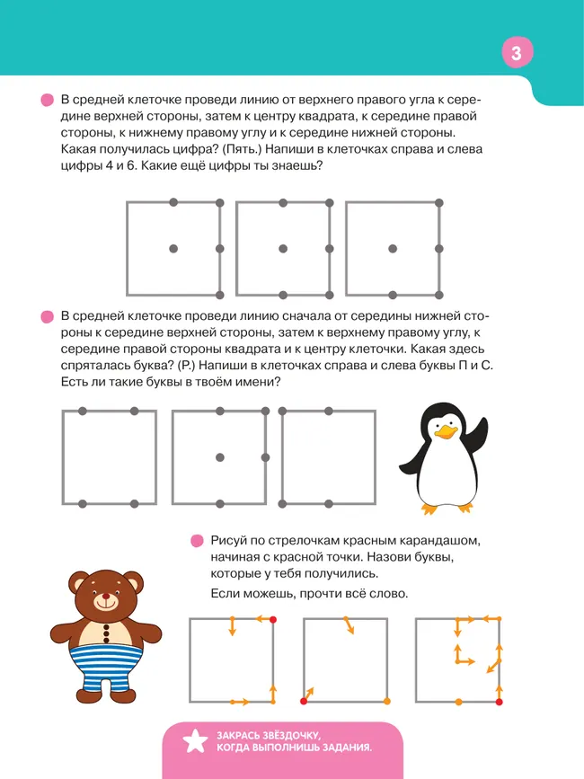 Знакомимся с клеткой 17