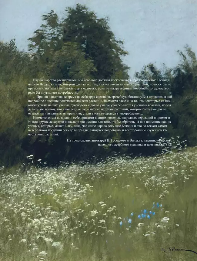 Русский травник 53