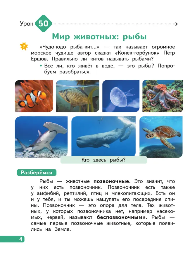 Окружающий мир. 2 класс. В 4-х частях. Часть 4 4