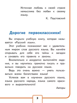 Русский язык. 1 класс. Учебное пособие. В 3 ч. Часть 1 (для слабовидящих обучающихся) 29