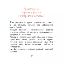 Каждой таксе нужен дом! Удивительные истории про таксу Ламбу 13