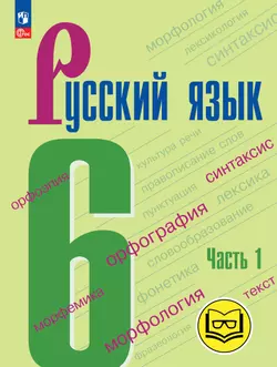 Русский язык. 6 класс. Учебное пособие. В 5 ч. Часть 1 (для слабовидящих обучающихся) 1
