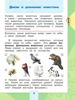 Окружающий мир. Первый год обучения. В трёх частях. Часть 2 44