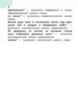 Русский язык. 6 класс. Учебное пособие. В 5 ч. Часть 4 (для слабовидящих обучающихся) 17