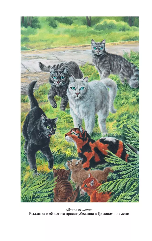 Коты-воители. Золотая коллекция. Длинные тени. Восход солнца. Хантер 7