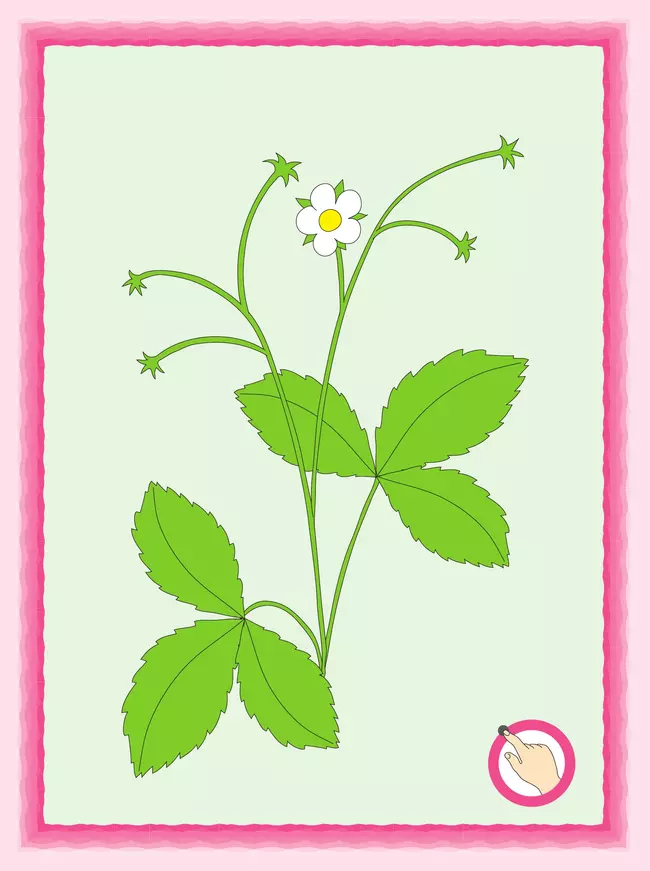 Я рисую. Пособие для детей 3-4 лет 8