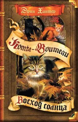 Цикл "Сила трех". Восход солнца. 1