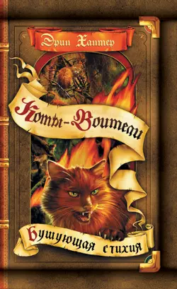 Коты-воители. Цикл "Воители". Бушующая стихия. Хантер. 1
