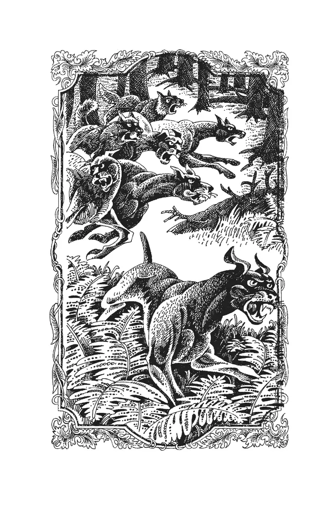 Коты-воители. Цикл "Воители". Опасная тропа. Хантер. 23 Коты-воители. Цикл "Воители". Опасная тропа. Хантер. 23