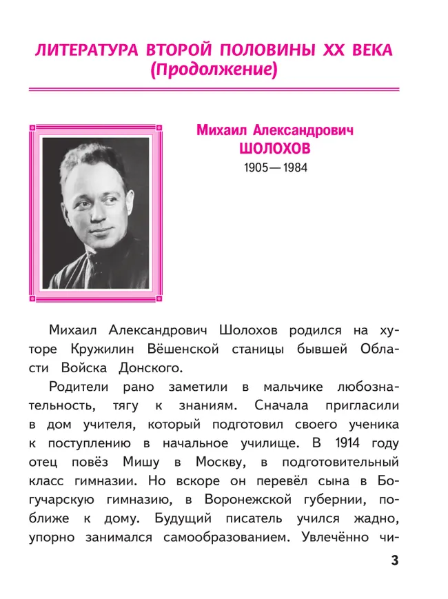 Литература. 8 класс. Учебное пособие. В 7 ч. Часть 6 (для слабовидящих обучающихся) 5