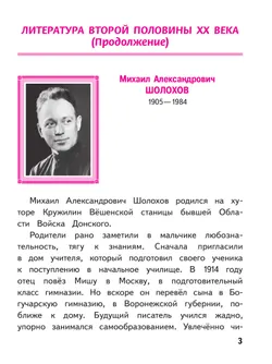 Литература. 8 класс. Учебное пособие. В 7 ч. Часть 6 (для слабовидящих обучающихся) 5