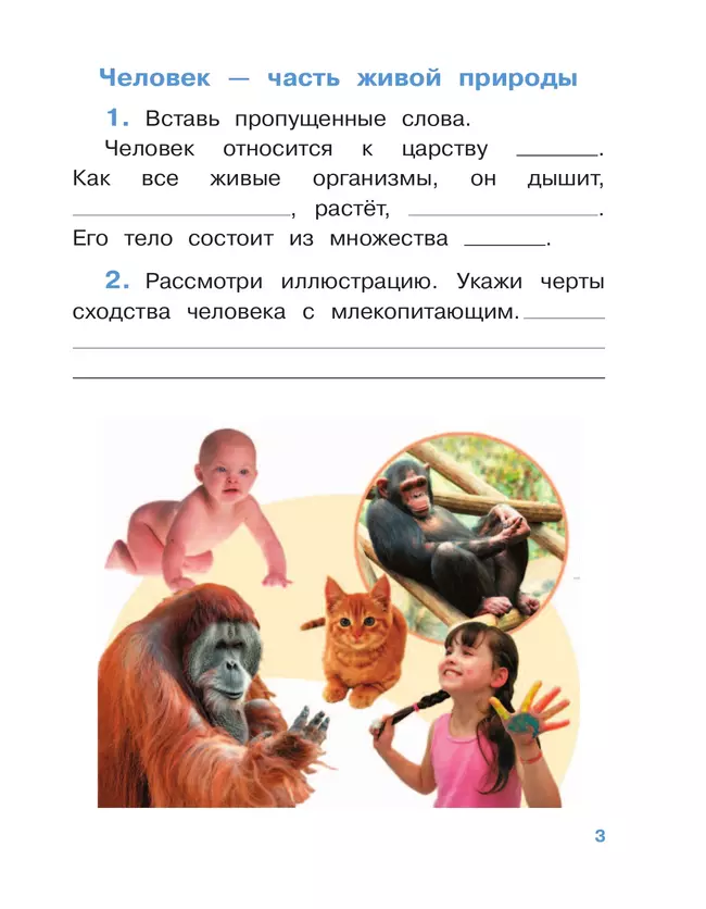 Окружающий мир. 4 класс. Рабочая тетрадь. В 2 частях. Часть 1 29 Окружающий мир. 4 класс. Рабочая тетрадь. В 2 частях. Часть 1 29