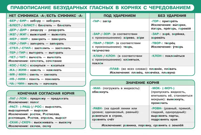 Русский язык в таблицах и схемах. Наглядные пособия 8