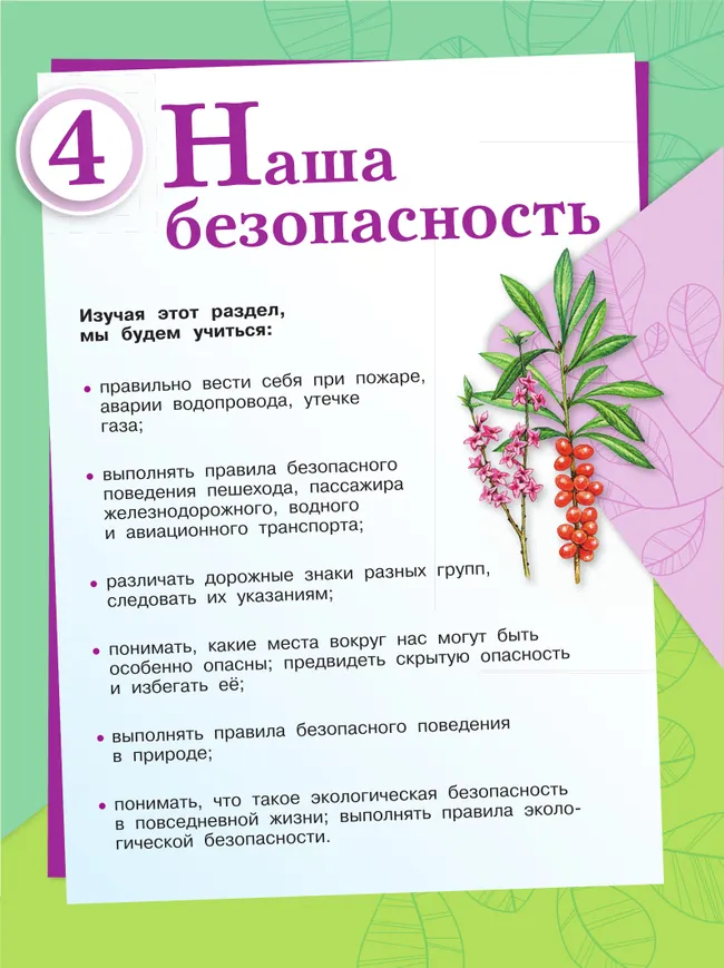 Окружающий мир. 3 класс. Учебник. В 2 ч. Часть 2 8