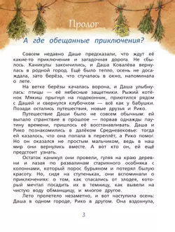 Подарок ведьме 13