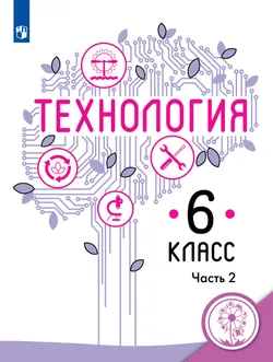 Технология. 6 класс. Учебное пособие. В 2 ч. Часть 2 (для слабовидящих обучающихся) 1
