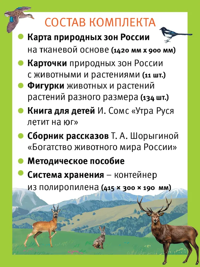 Путешествие по России утки Руси. Настольная игра 11