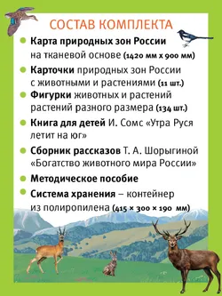 Путешествие по России утки Руси. Настольная игра 11