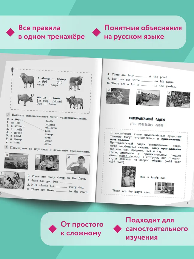 Английский язык. Грамматический тренажер. 3 класс 19 Английский язык. Грамматический тренажер. 3 класс 19