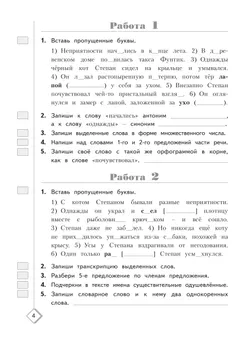 Русский язык. 3 класс. Готовимся к Всероссийским проверочным работам. 50 шагов к успеху 9
