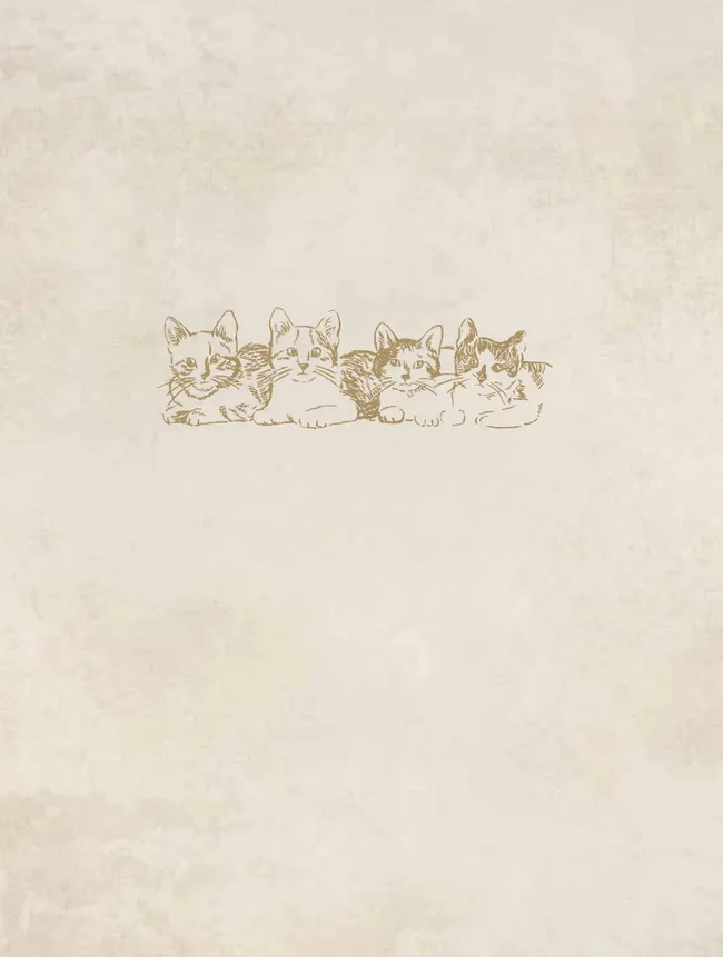 Пушистые и веселые истории о котах и кошках 17